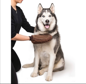 Dirty Dog Grooming Mitt | For Dogs and Cats