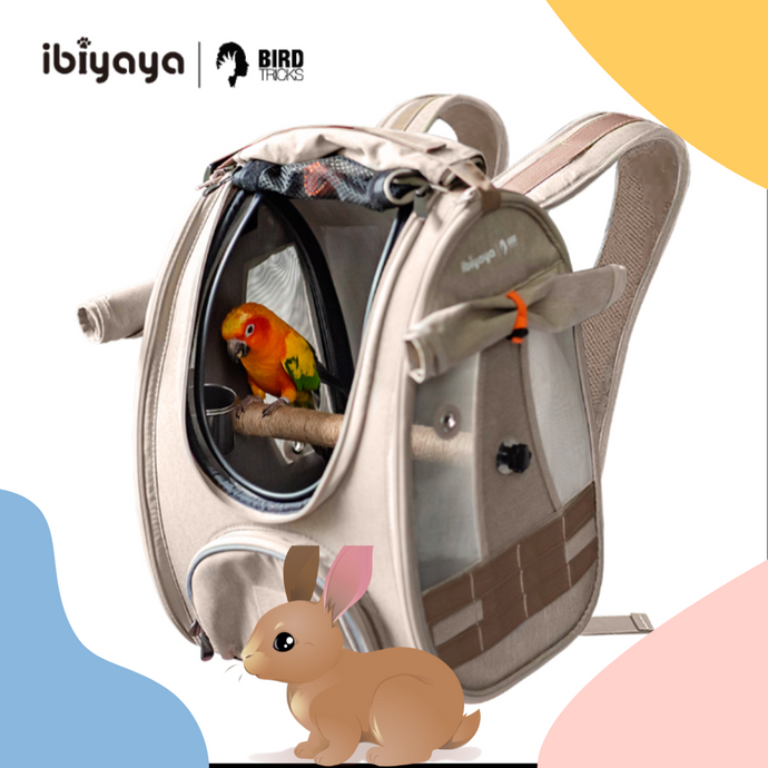 Ibiyaya BirdTricks Backpack Bird Carrier For Birds | Small Pets