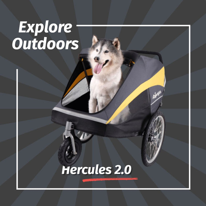 Ibiyaya Hercules Heavy Duty Pro Pet Stroller 2.0
