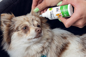 Photocatalyst Pet Odor Eliminating Ear Cleaner
