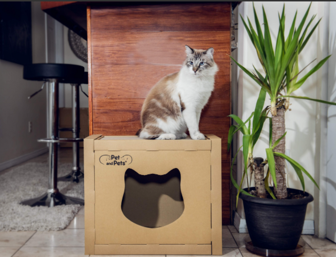 The Box Eco Pet House