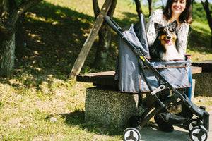 Ibiyaya Speedy Fold Pet Stroller