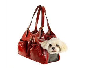 Metro Style with Tassle Pet Carrier